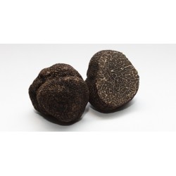 truffe noire melanosporum comptoir des truffes et des saveurs