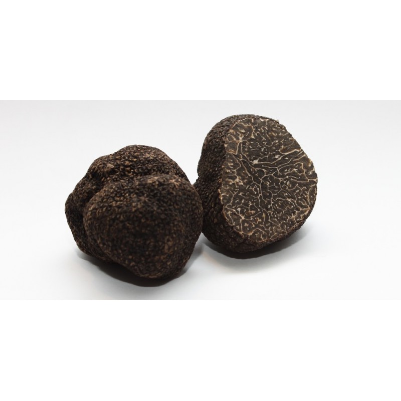 truffe noire melanosporum comptoir des truffes et des saveurs
