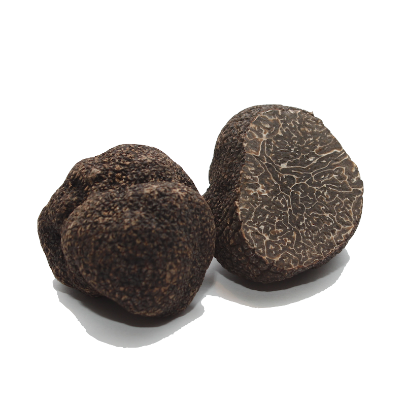 truffe mélanosporum comptoir des truffes et des saveurs