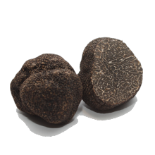 Acheter de la truffe fraiche en ligne - Comptoir des Truffes
