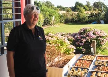 Aperitif au Golf de Pornic